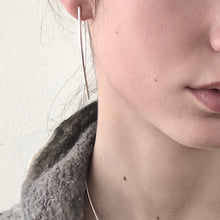 Load image into Gallery viewer, Fish Earrings